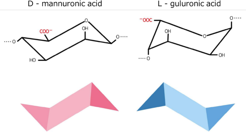 Structures of Uronic Acids