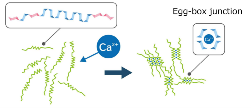 Mechanism of Gelation