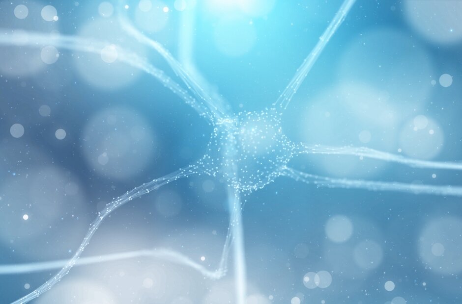 Neural network cell structure